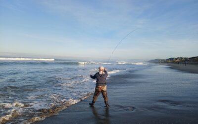 Tell Me About Fly Fishing In The Surf In Santa Cruz